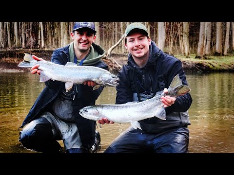 So Many BOBBER DOWNS! Epic Steelhead Float Fishing + Spinner Strikes
