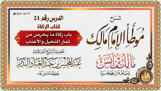 صورة المجلس (54) | شرح موطأ الإمام مالك بن أنس | الشيخ عبدالمحسن العباد البدر | #الشيخ_عبدالمحسن_العباد