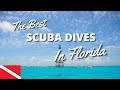 Top 10 Scuba Dives In Florida