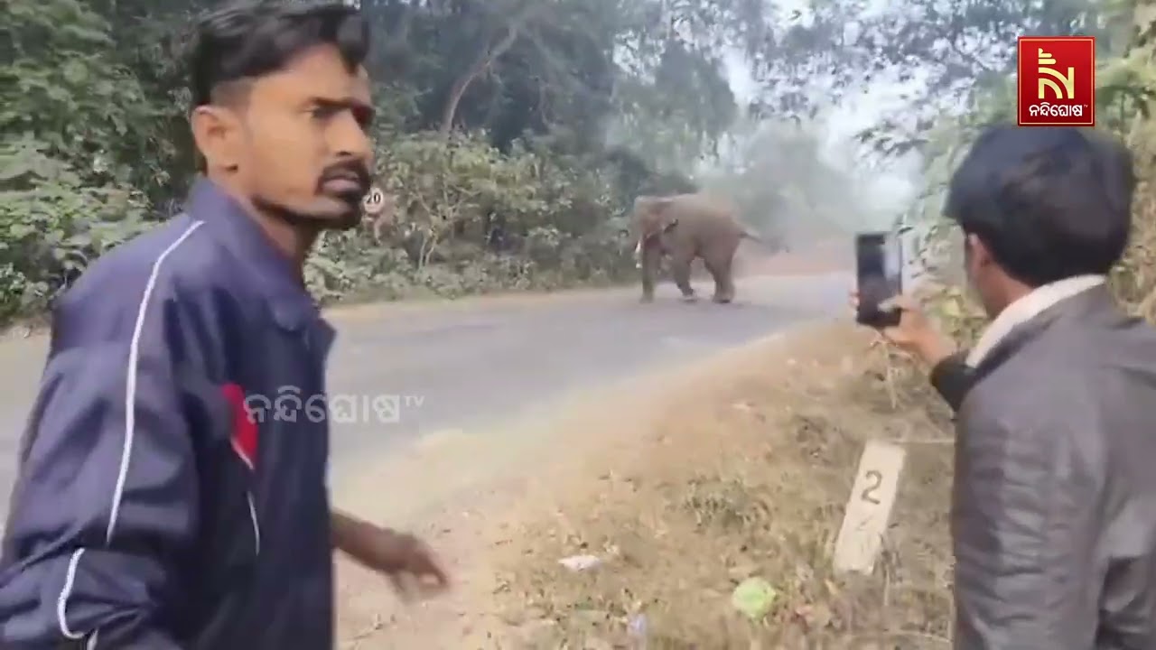 ଦନ୍ତା ହାତୀ ଆକ୍ରମଣରେ ଜଣେ ମୃତ ଦୁଇରୁ ଅଧିକ ଆହତ