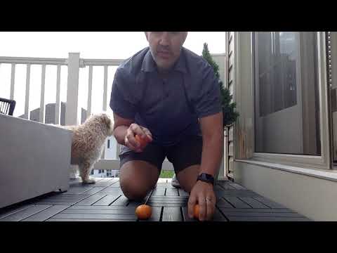 Tangerine floor juggling