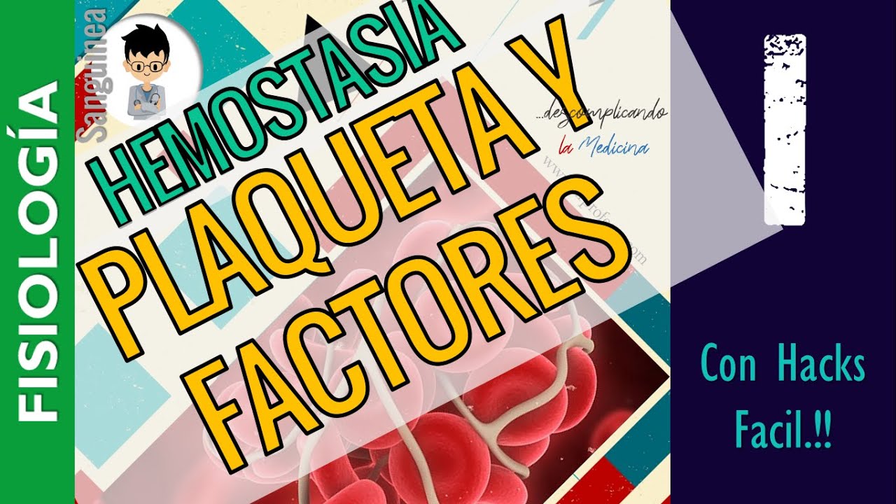 HEMOSTASIA Y COAGULACIÓN, GENERALIDADES, PLAQUETAS, FACTORES DE COAGULACION |FISIOLOGÍA Sanguinea|P1