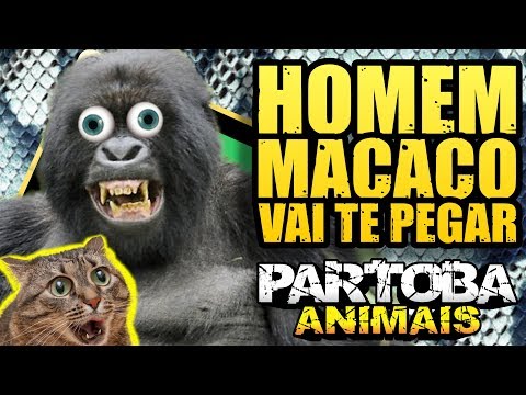 ParTOBA ANIMAIS - HOMEM MACACO 🐵🙈🙉🙊🐒