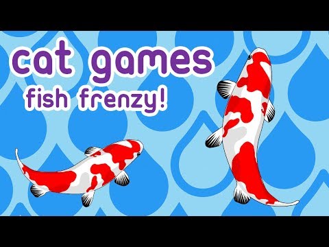 CAT GAMES Fish Frenzy Fun - At Home Entertainment for Cats! - YouTube