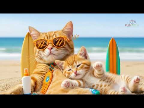 A Purr-fect Beach Day! 🐾 Cats Surfing, Fishing & Grilling Fish | Furprise Adventure