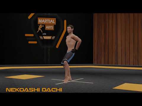 Karate Stances - Nekoashi Dachi - Goju Ryu