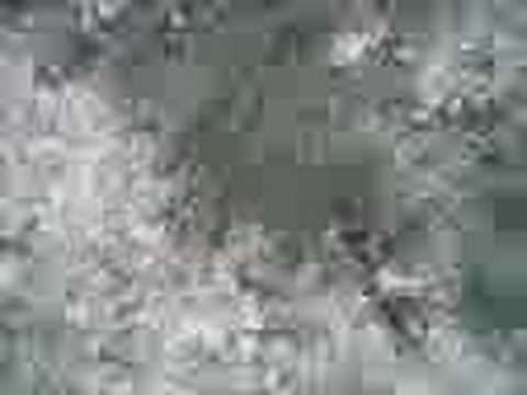 operation random high on sugar!