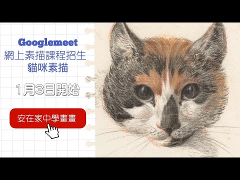 GoogleMeet 貓咪素描網上課程招生  | 為新手而設 | 入門課程包含所有新手所需  | 一筆一筆網上跟着老師學習 | 安在家中學畫畫 |  #素描 #屯門畫室