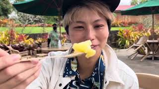 ハワイ！ホノルル観光の1日！Honolulu, Hawaii