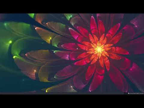 ArcoLinux : 3106 How to install ArcoLinuxD Enlightenment with calamares and with script