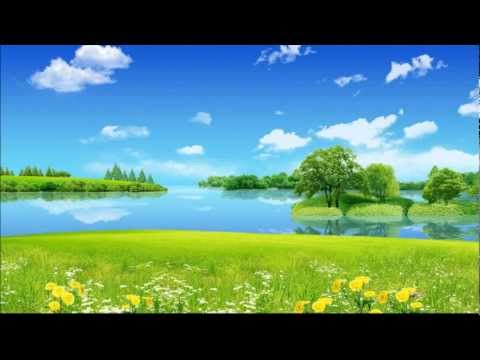 Johann Strauss Jr. - Pizzicato Polka