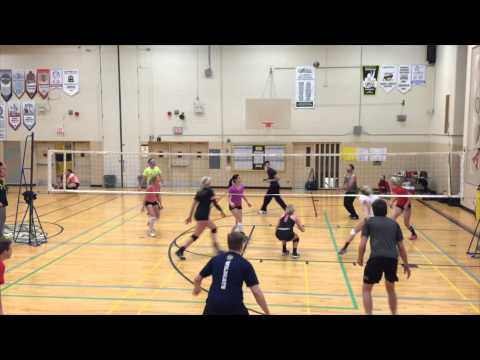 Windsor Reverse, Team Gab