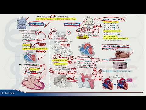 ESI 2019 PEDIATRICS CONGENITAL HEART DISEASES - DR. JHON ORTIZ