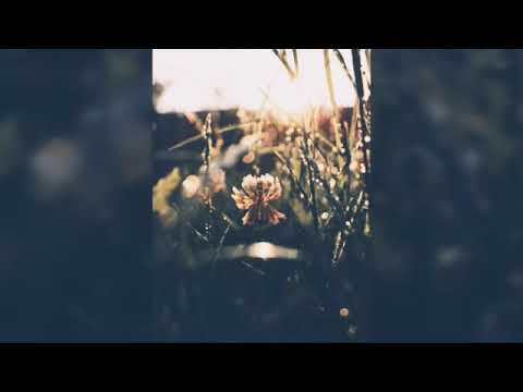 Aquele dia no calvário Berenice