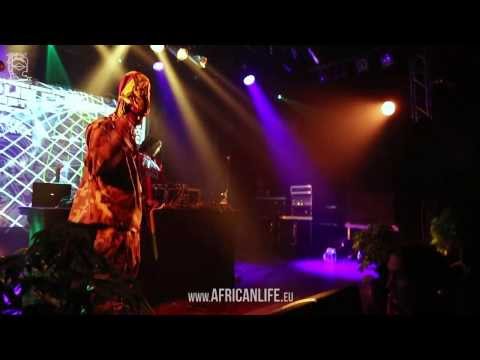 Zion Train, Fitta Warri (Vanguard Leader) @ Dub Champions Festival, 07.02.2014, WUK, Vienna, Video