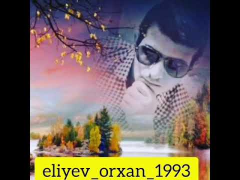 Royal Memmedov&Mehemmed Aydın Yadigar