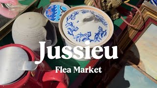 パリ猛暑Vlog|ジュシュー蚤の市を歩く夏