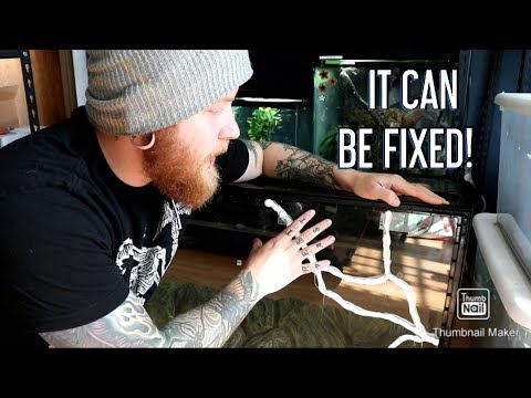 How To Make A Fasle Bottom For An Enclosure: Fixing A Cracked Tank