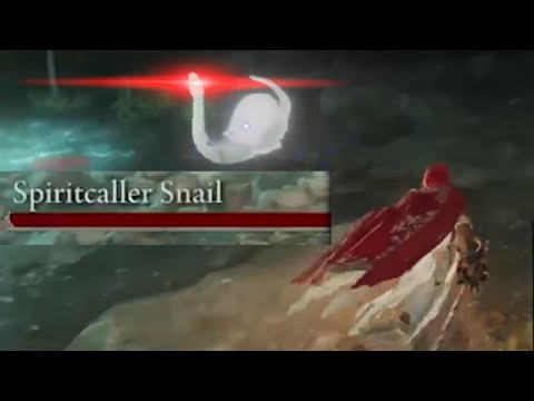 SNAIL FEAR INSTALLED