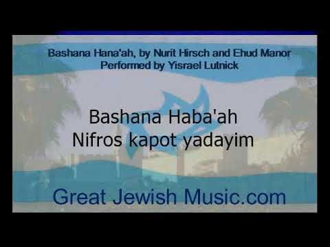 Bashana Habaah, with lyrics, performed by Yisrael Lutnick