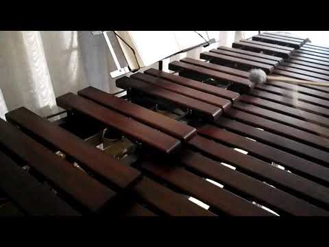 Inni di lode N°333: Qui nel deserto Marimba Cover