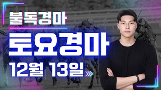 8연타!!는 기본 입니다! 복병귀신 불독의 토요경마 예상,분석 방송