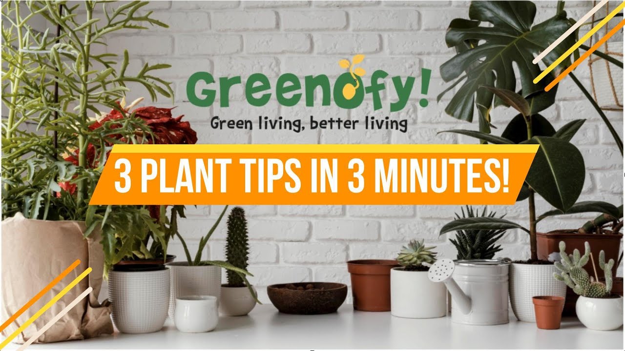 SMART PLANTS TIPS!!