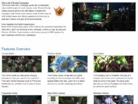 "Shokz Starcraft 2 Guide" Review