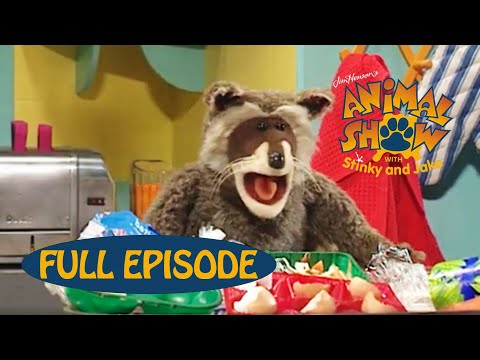 Animal Show | Racoon / Polar Bear | Jim Henson Family Hub