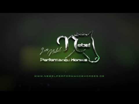 Quick Tipp: Stop training (Teil 1)