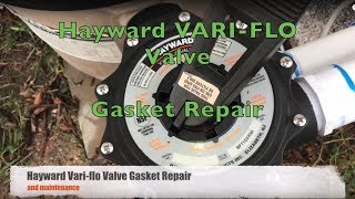 Hayward Vari-flo Valve Repair - Gasket Replacement Procedure