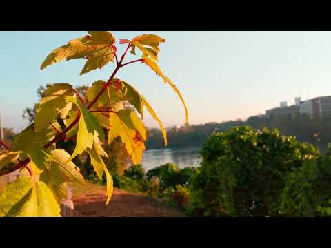 PhenixCity Columbus Cinematic 4k Sample