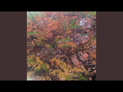 Don't Miss the Moment