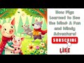How Pigs Learned To See The Wind A Fun And Windy Adventure