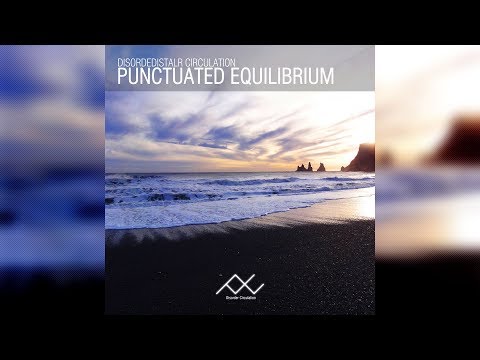 「Disorder Circulation」 Czk - multiverse