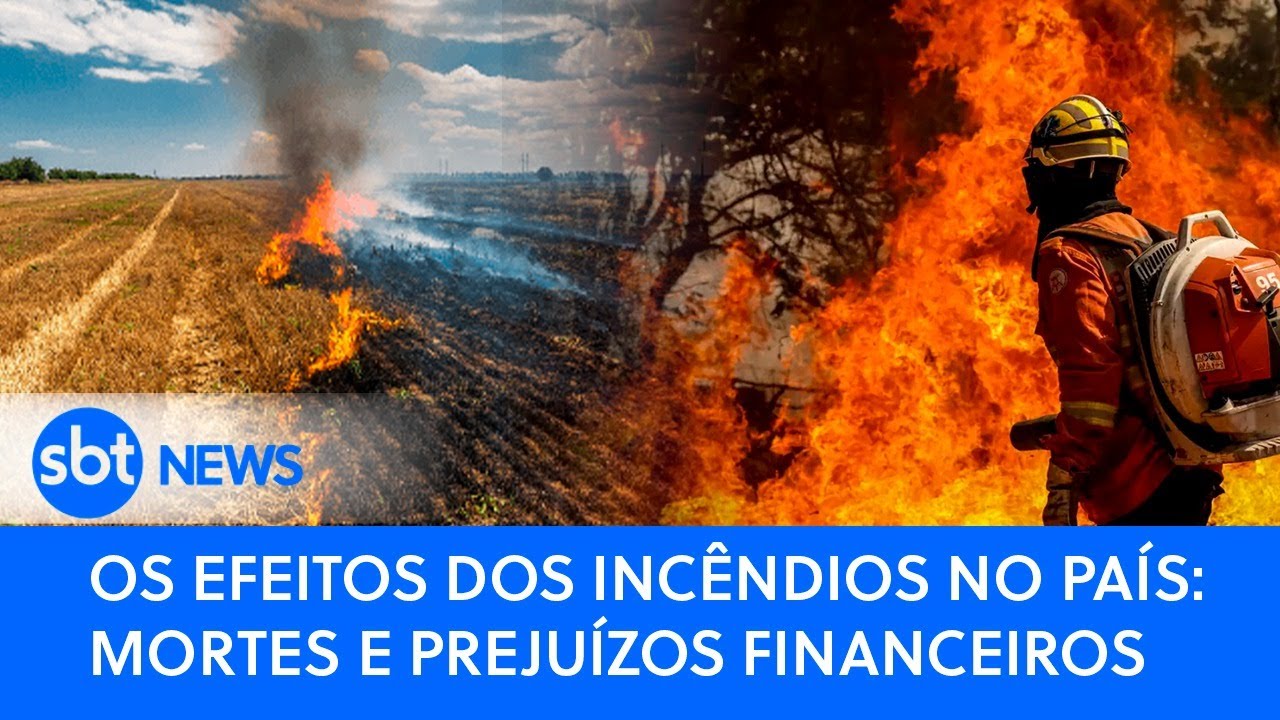 PODER EXPRESSO |  Os efeitos dos incêndios no país: mortes e prejuízos financeiros