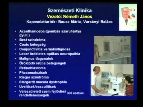 Leech - férfi barátja (+ audio), Hogyan és hova tegyenek piócákat magas vérnyomás esetén