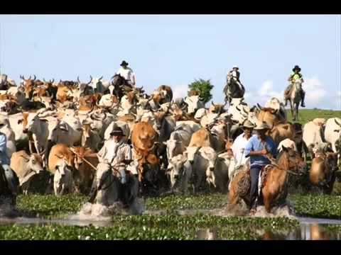 LIBARDO OLARTE M   PICADILLO VEGUERO