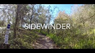 preview picture of video 'Balm Boyette Mountain Bike Trail - Sidewinder'