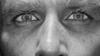 METZ - Cellophane [OFFICIAL VIDEO]