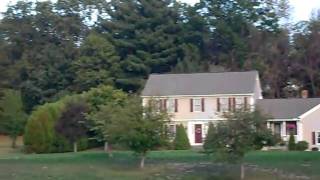 Fall in Front 17 White Birch 9 29 2010