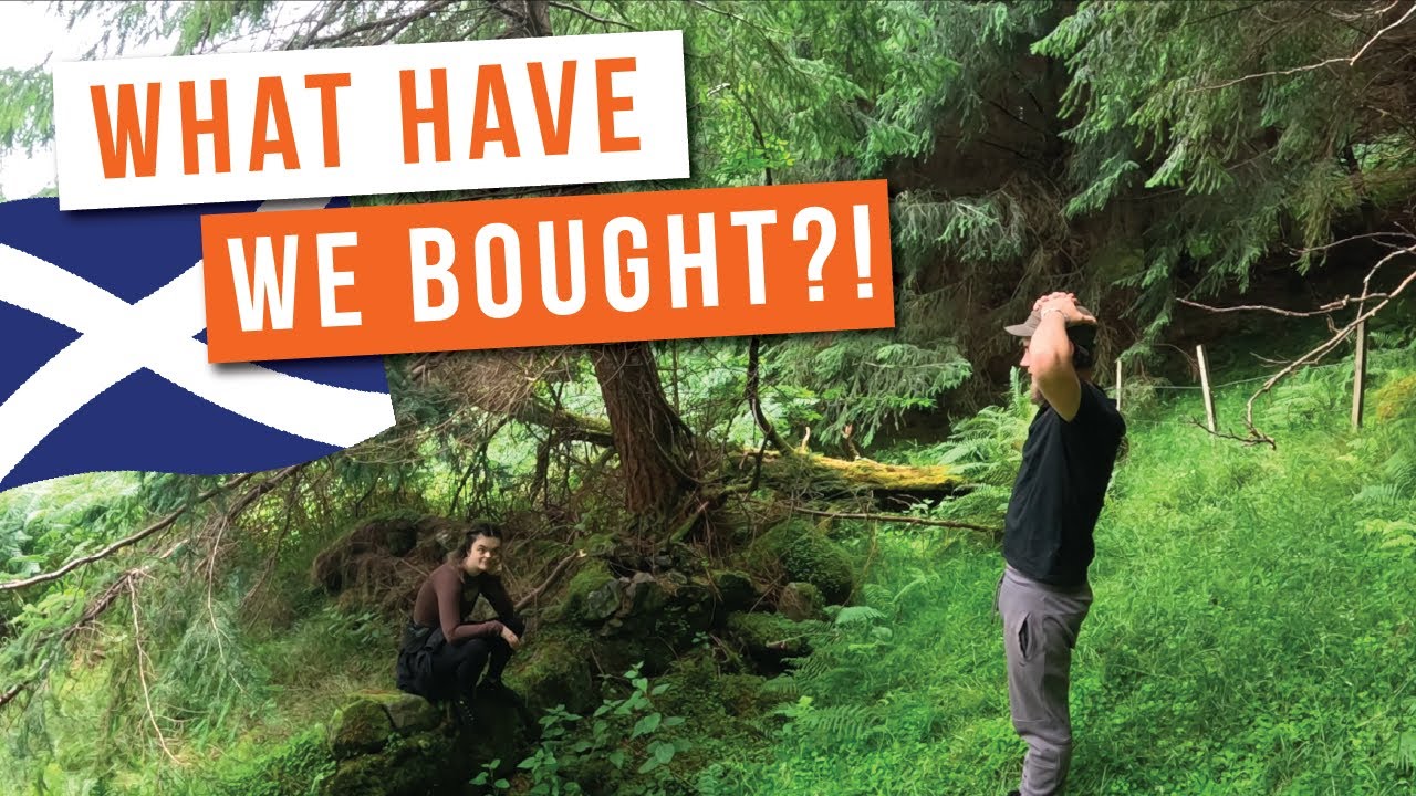 WE BOUGHT some LAND in SCOTLAND!!! Our Journey to Buying the Plot... (Off Grid Living Plans).