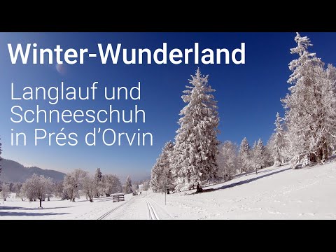 Winter-Wunderland Jura - Langlaufen und Schneeschuhlaufen in Les Prés d’Orvin