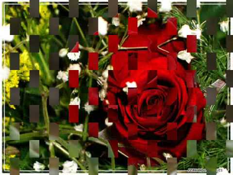 Los Challengers (Rosa Perfumada)