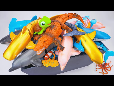 [🐳Toy asmr🐳] RC Mosasaurus & Gold Shark & RC Crocodile & Aquarium ASMR Satisfying with Unboxing