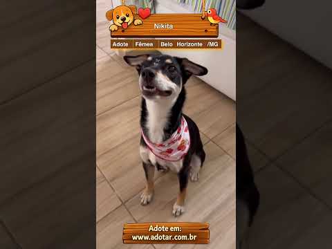 Vídeo de Nikita