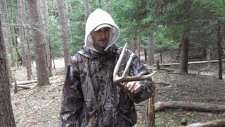 Shed Hunting 2013