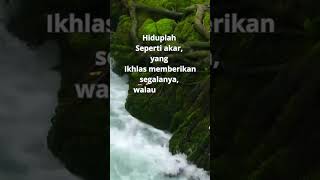 Download lagu Hiduplah Seperti akar yang Ikhlas.... #shorts  #statuswa #motivasidiri Jangan Pernah Menyerah mp3