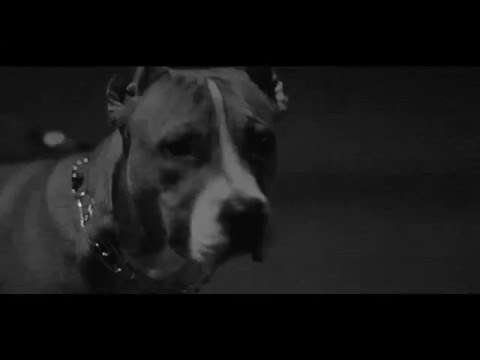 VessoU - Махленската (ARTIMOX x HQM REMIX)