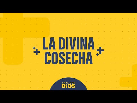 VayaconDiosEP. 962 - La divina cosecha